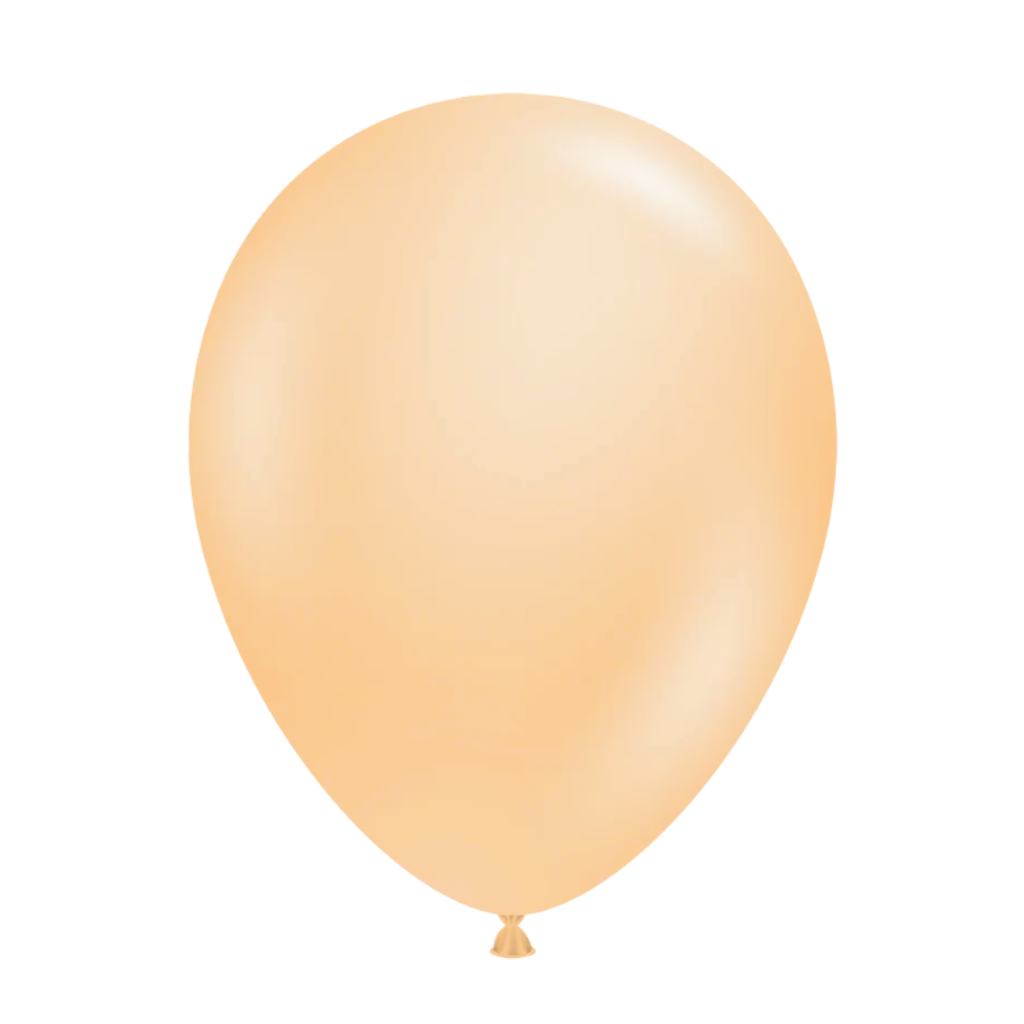 Oranžna (Vermicelli) - latex